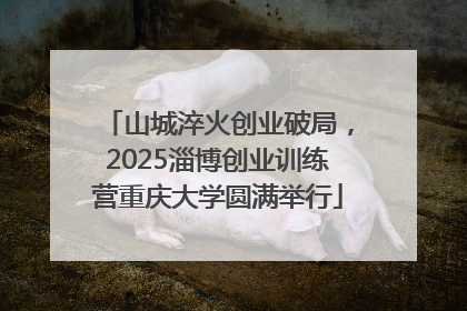 山城淬火创业破局，2025淄博创业训练营重庆大学圆满举行