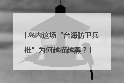 岛内这场“台海防卫兵推”为何越描越黑？