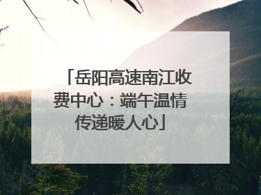 岳阳高速南江收费中心：端午温情传递暖人心