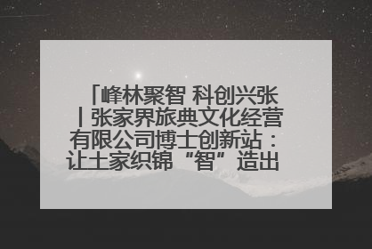 峰林聚智 科创兴张丨张家界旅典文化经营有限公司博士创新站：让土家织锦“智”造出非遗新传奇