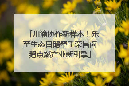 川渝协作新样本！乐至生态白鹅牵手荣昌卤鹅点燃产业新引擎
