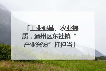 工业强基、农业提质，通州区东社镇“产业兴镇”扛担当