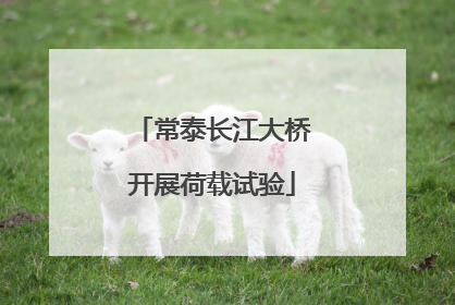 常泰长江大桥开展荷载试验