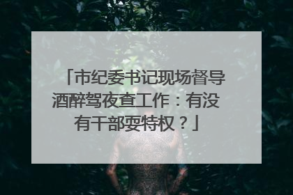 市纪委书记现场督导酒醉驾夜查工作：有没有干部耍特权？