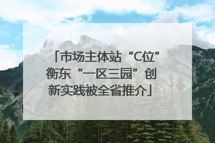 市场主体站“C位” 衡东“一区三园”创新实践被全省推介
