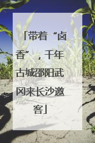 带着“卤香”，千年古城邵阳武冈来长沙邀客