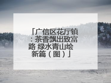 广信区花厅镇：茶香飘出致富路 绿水青山绘新篇（图）
