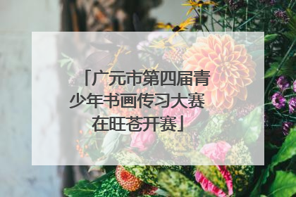 广元市第四届青少年书画传习大赛在旺苍开赛