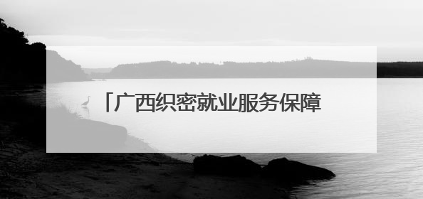 广西织密就业服务保障网 精准帮扶青年就业