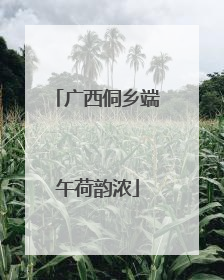广西侗乡端午荷韵浓