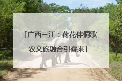 广西三江：荷花伴侗歌 农文旅融合引客来