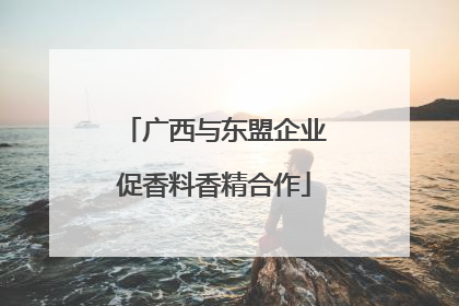 广西与东盟企业促香料香精合作