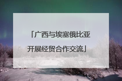 广西与埃塞俄比亚开展经贸合作交流