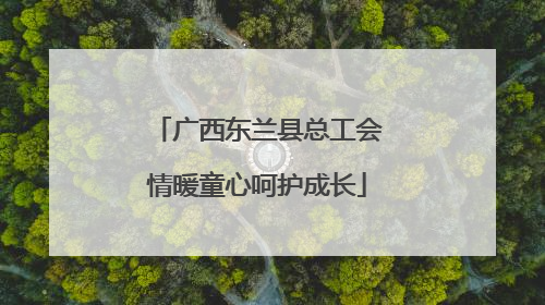 广西东兰县总工会情暖童心呵护成长
