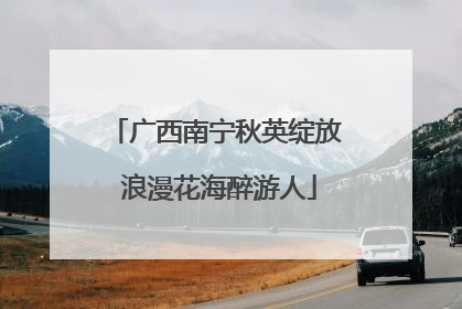 广西南宁秋英绽放 浪漫花海醉游人