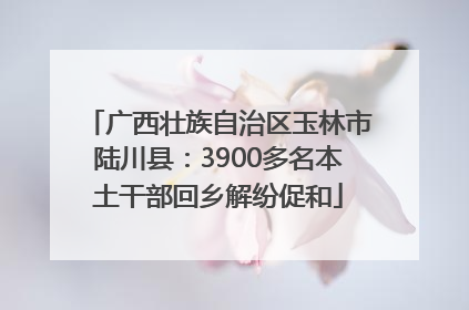 广西壮族自治区玉林市陆川县：3900多名本土干部回乡解纷促和