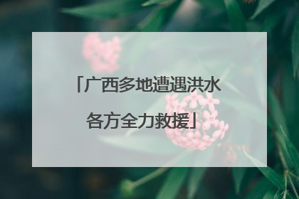 广西多地遭遇洪水 各方全力救援