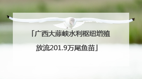 广西大藤峡水利枢纽增殖放流201.9万尾鱼苗