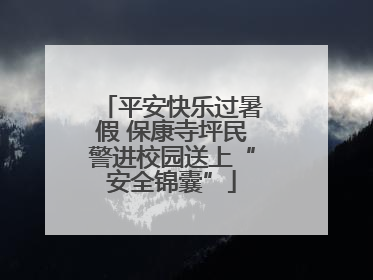 平安快乐过暑假 保康寺坪民警进校园送上“安全锦囊”