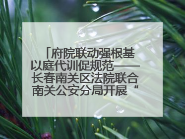 府院联动强根基 以庭代训促规范——长春南关区法院联合南关公安分局开展“以庭代训”
