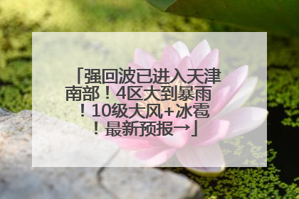 强回波已进入天津南部！4区大到暴雨！10级大风+冰雹！最新预报→