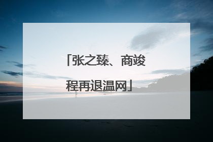 张之臻、商竣程再退温网