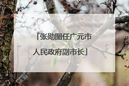 张勋图任广元市人民政府副市长