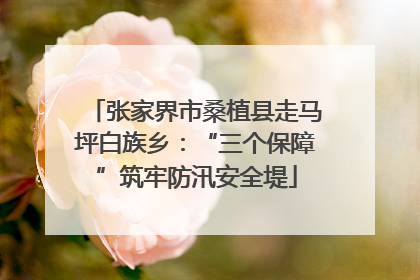 张家界市桑植县走马坪白族乡：“三个保障”筑牢防汛安全堤