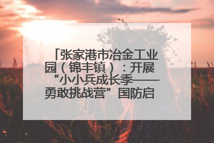 张家港市冶金工业园（锦丰镇）：开展“小小兵成长季——勇敢挑战营”国防启蒙教育活动