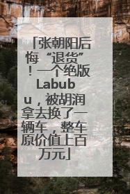 张朝阳后悔“退货”！一个绝版Labubu，被胡润拿去换了一辆车，整车原价值上百万元