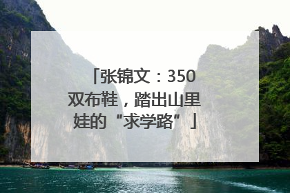 张锦文：350双布鞋，踏出山里娃的“求学路”