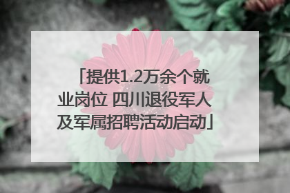 提供1.2万余个就业岗位 四川退役军人及军属招聘活动启动