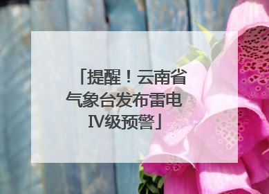 提醒！云南省气象台发布雷电Ⅳ级预警