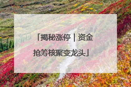 揭秘涨停｜资金抢筹核聚变龙头
