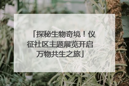 探秘生物奇境！仪征社区主题展览开启万物共生之旅