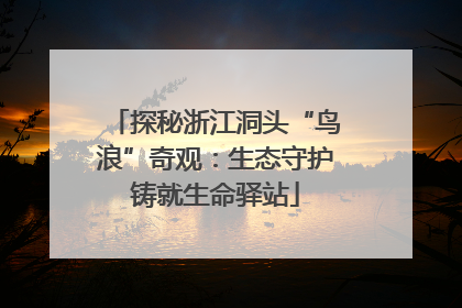 探秘浙江洞头“鸟浪”奇观：生态守护铸就生命驿站