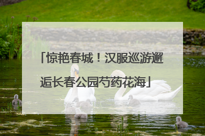 惊艳春城！汉服巡游邂逅长春公园芍药花海