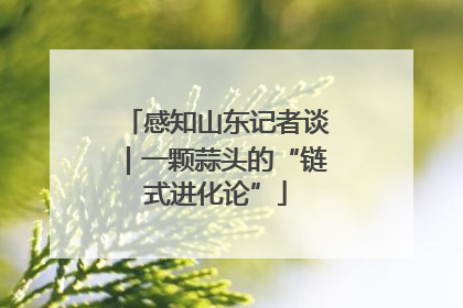 感知山东记者谈｜一颗蒜头的“链式进化论”