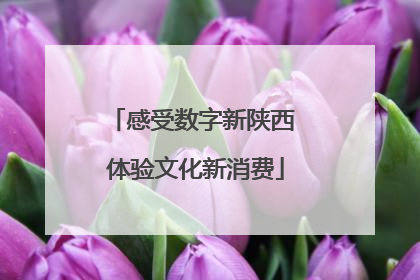 感受数字新陕西 体验文化新消费