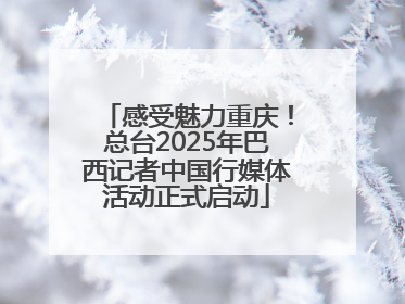 感受魅力重庆！总台2025年巴西记者中国行媒体活动正式启动