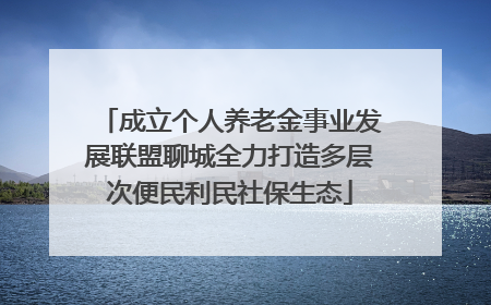 成立个人养老金事业发展联盟聊城全力打造多层次便民利民社保生态