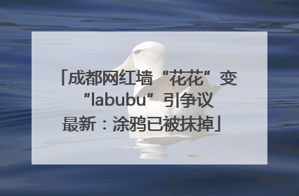 成都网红墙“花花”变“labubu”引争议 最新：涂鸦已被抹掉