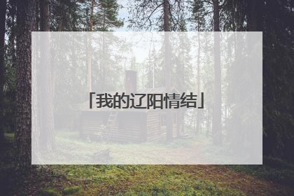 我的辽阳情结