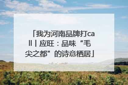 我为河南品牌打call丨应旺：品味“毛尖之都”的诗意栖居