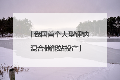 我国首个大型锂钠混合储能站投产