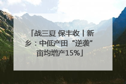 战三夏 保丰收丨新乡：中低产田“逆袭” 亩均增产15%