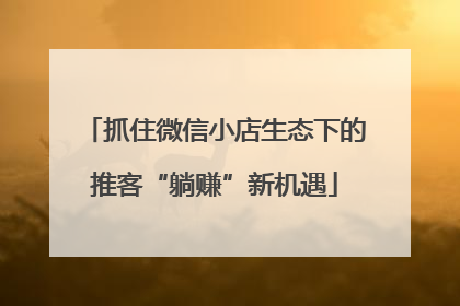 抓住微信小店生态下的推客“躺赚”新机遇