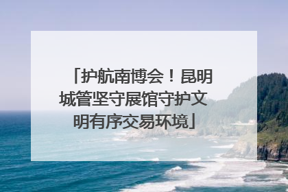 护航南博会！昆明城管坚守展馆守护文明有序交易环境