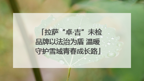 拉萨“卓·吉”未检品牌以法治为盾 温暖守护雪域青春成长路