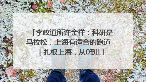 李政道所许金祥：科研是马拉松，上海有适合的跑道｜扎根上海，从0到1